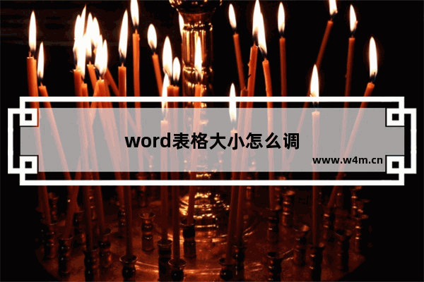 word表格大小怎么调