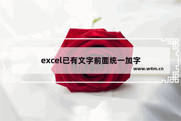 excel已有文字前面统一加字