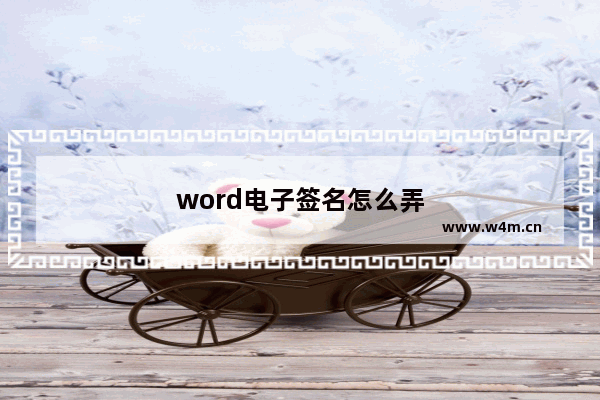 word电子签名怎么弄