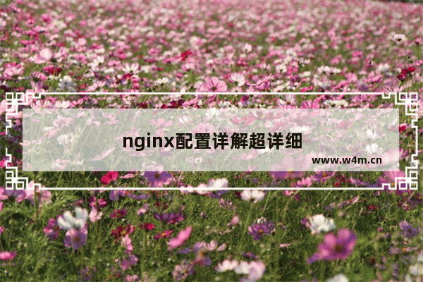 nginx配置详解超详细