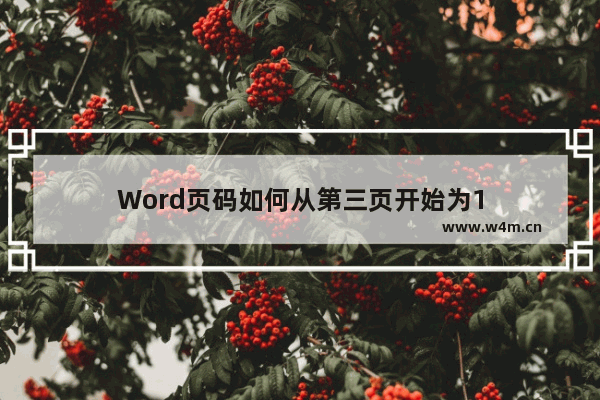 Word页码如何从第三页开始为1