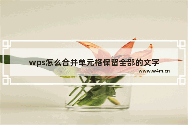 wps怎么合并单元格保留全部的文字