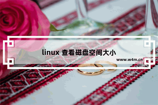 linux 查看磁盘空间大小