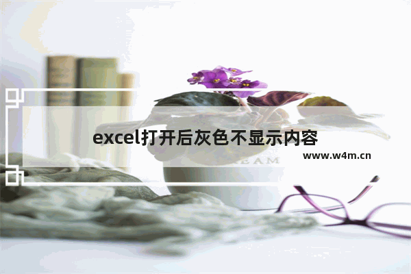 excel打开后灰色不显示内容