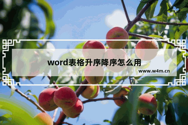 word表格升序降序怎么用