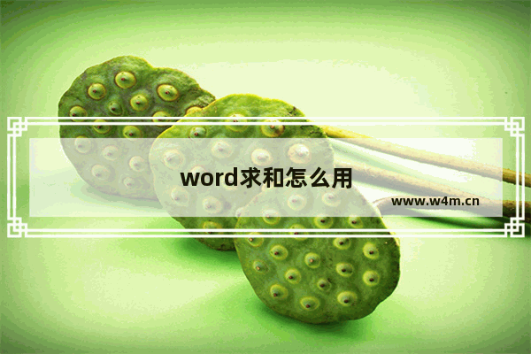 word求和怎么用