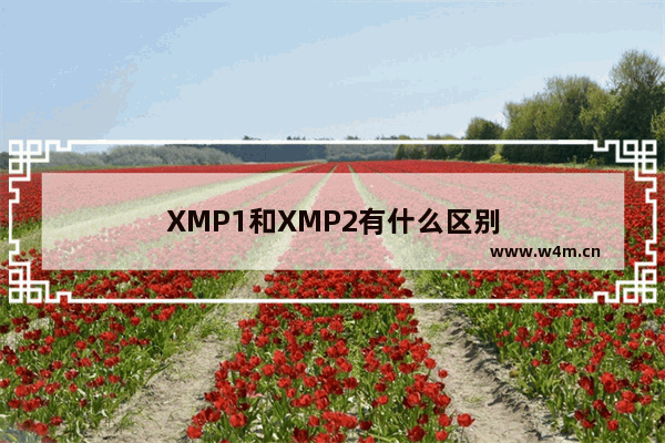 XMP1和XMP2有什么区别