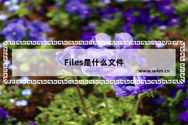 Files是什么文件