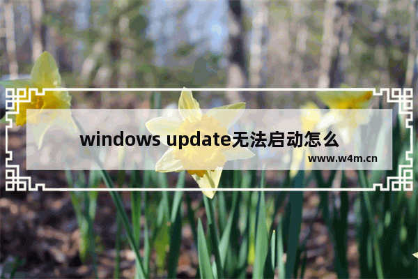 windows update无法启动怎么解决