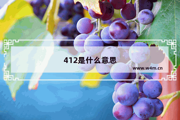 412是什么意思