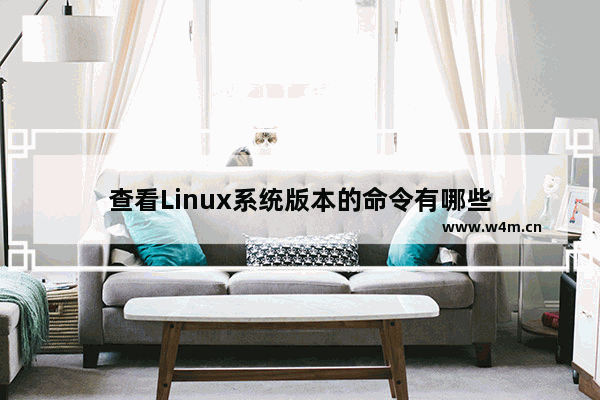 查看Linux系统版本的命令有哪些