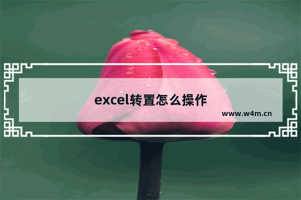 excel转置怎么操作