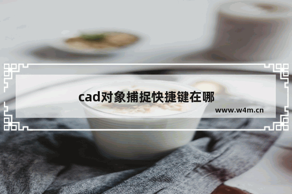 cad对象捕捉快捷键在哪