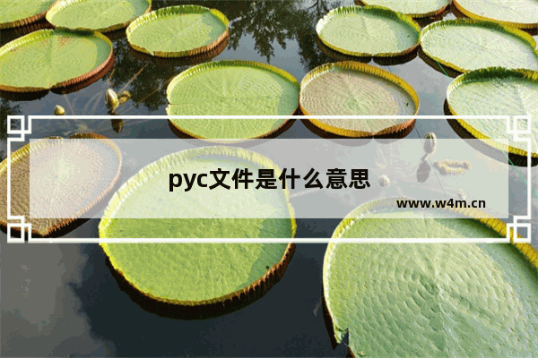 pyc文件是什么意思