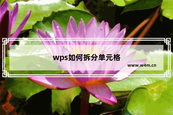 wps如何拆分单元格