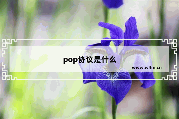 pop协议是什么