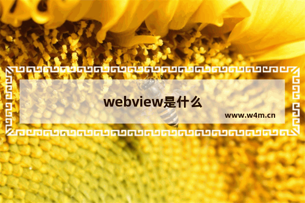 webview是什么