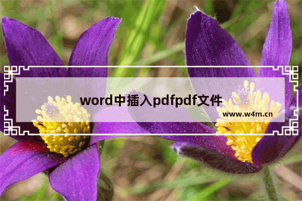 word中插入pdfpdf文件