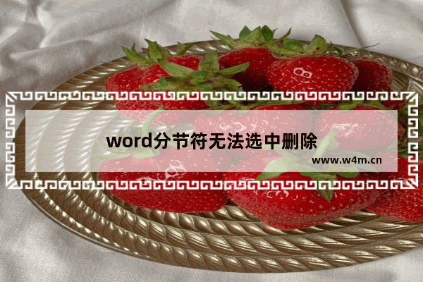 word分节符无法选中删除