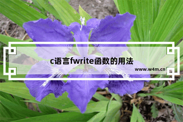 c语言fwrite函数的用法