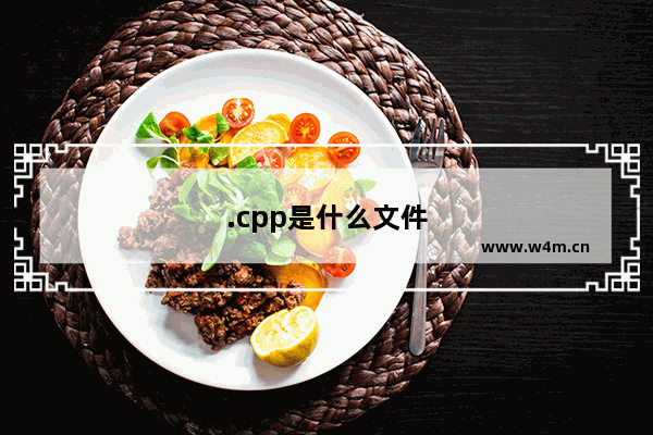 .cpp是什么文件