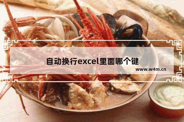 自动换行excel里面哪个键