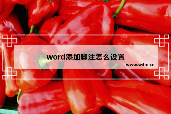 word添加脚注怎么设置