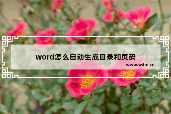 word怎么自动生成目录和页码