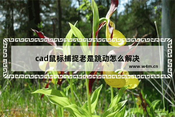 cad鼠标捕捉老是跳动怎么解决