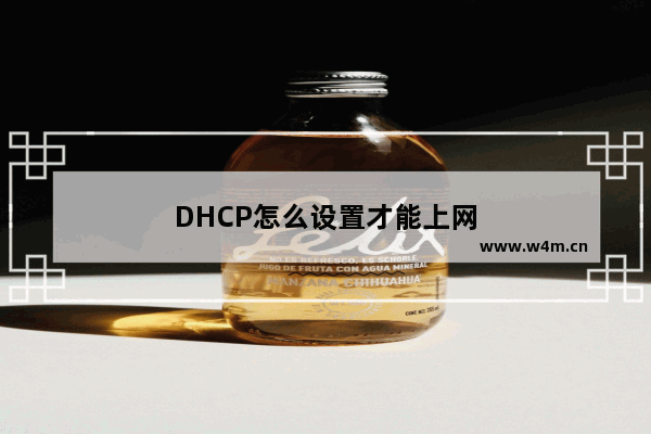 DHCP怎么设置才能上网