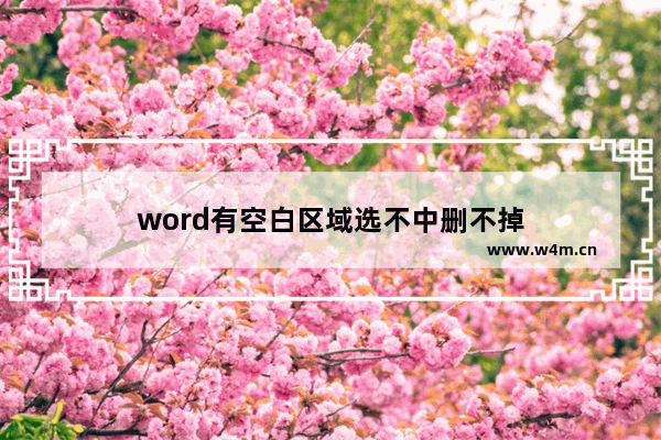 word有空白区域选不中删不掉