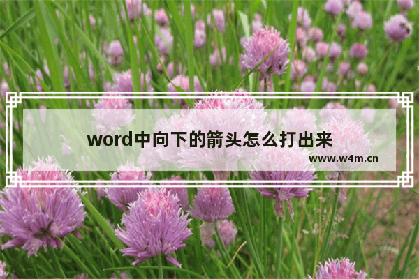 word中向下的箭头怎么打出来