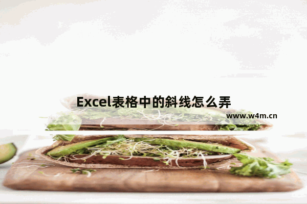 Excel表格中的斜线怎么弄