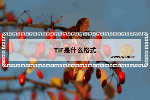 TIF是什么格式