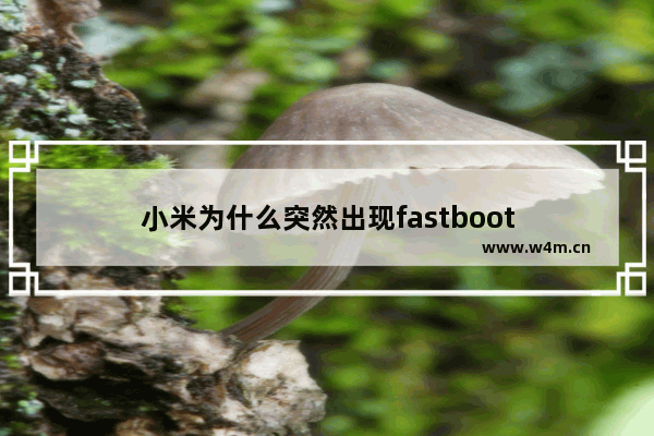 小米为什么突然出现fastboot