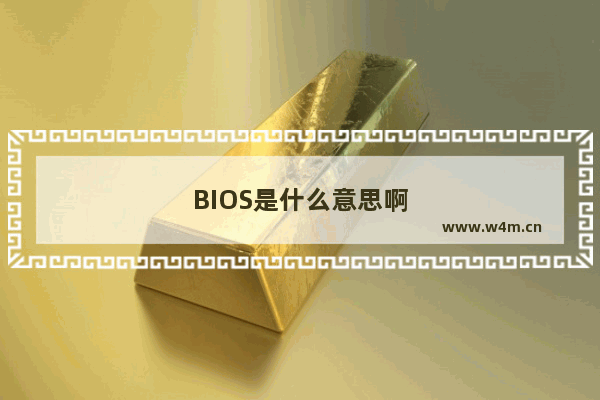 BIOS是什么意思啊