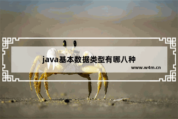 java基本数据类型有哪八种