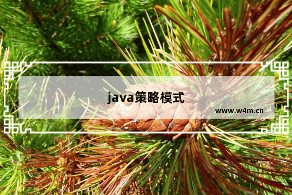 java策略模式