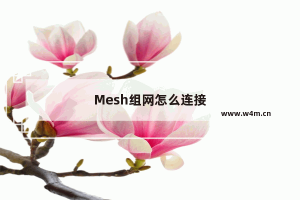 Mesh组网怎么连接