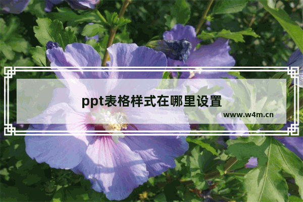 ppt表格样式在哪里设置