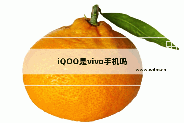 iQOO是vivo手机吗