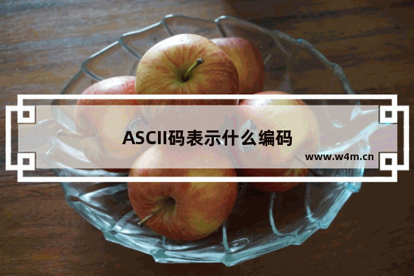 ASCII码表示什么编码