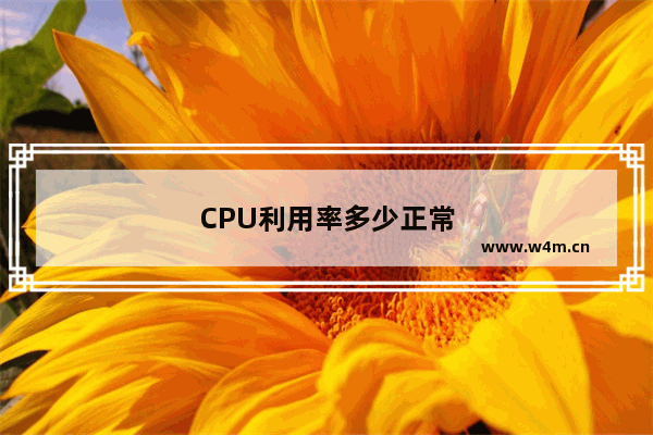 CPU利用率多少正常