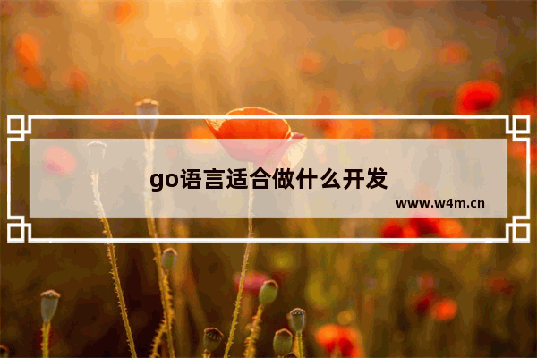 go语言适合做什么开发