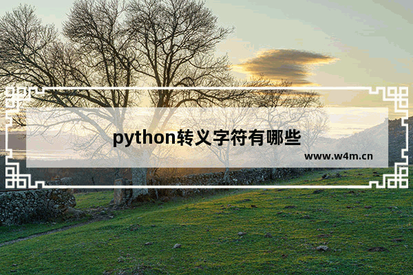 python转义字符有哪些