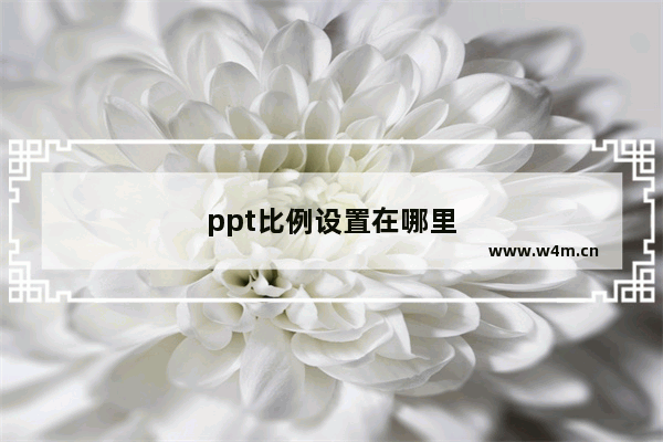 ppt比例设置在哪里