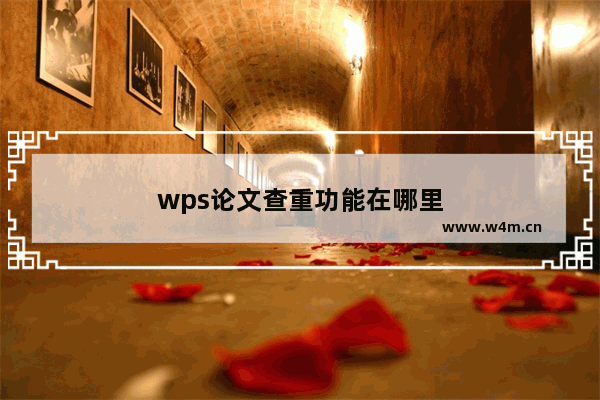 wps论文查重功能在哪里