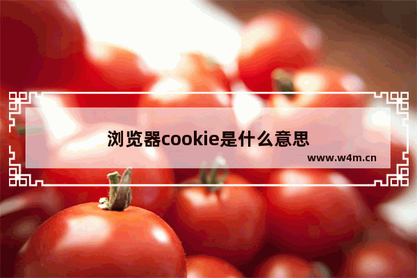 浏览器cookie是什么意思