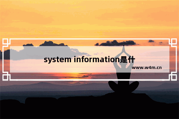 system information是什么意思