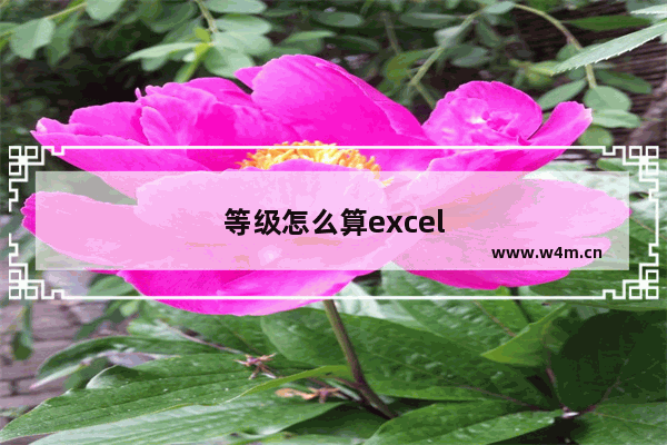 等级怎么算excel